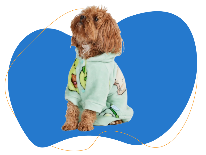 oodie for dogs